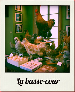 Boutique_Deyrolle_Paris_larapporteuse__8_.jpg